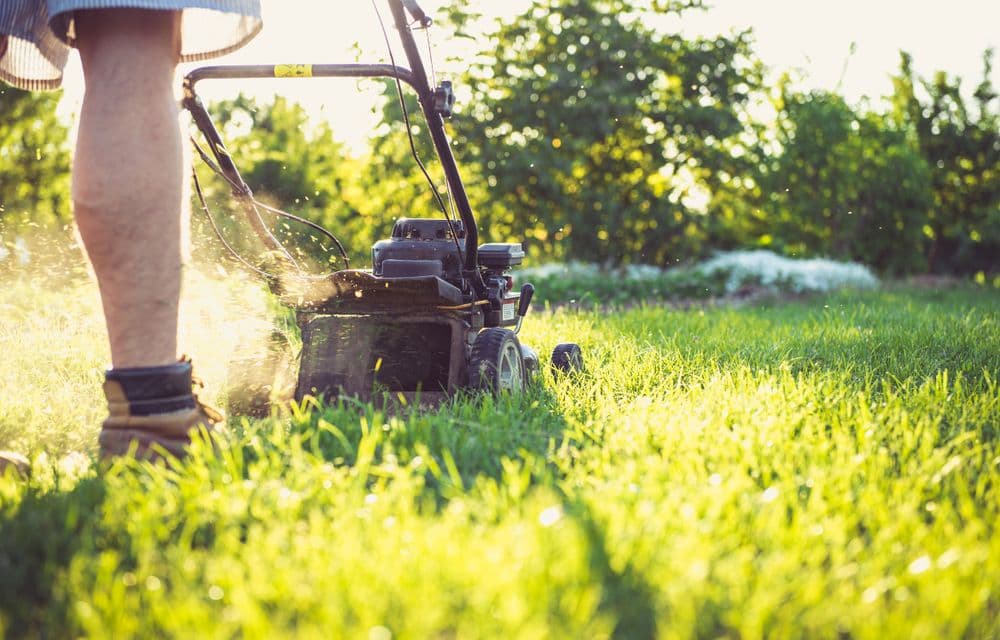 Landscaping & Yard Work